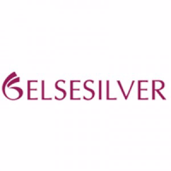 Picture of Elsesilver Xml Entegrasyonu