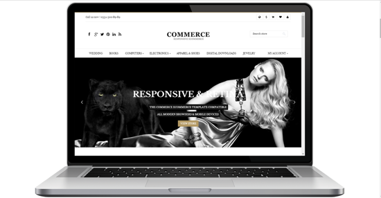 Picture of Commerce Premium Responsive Theme 